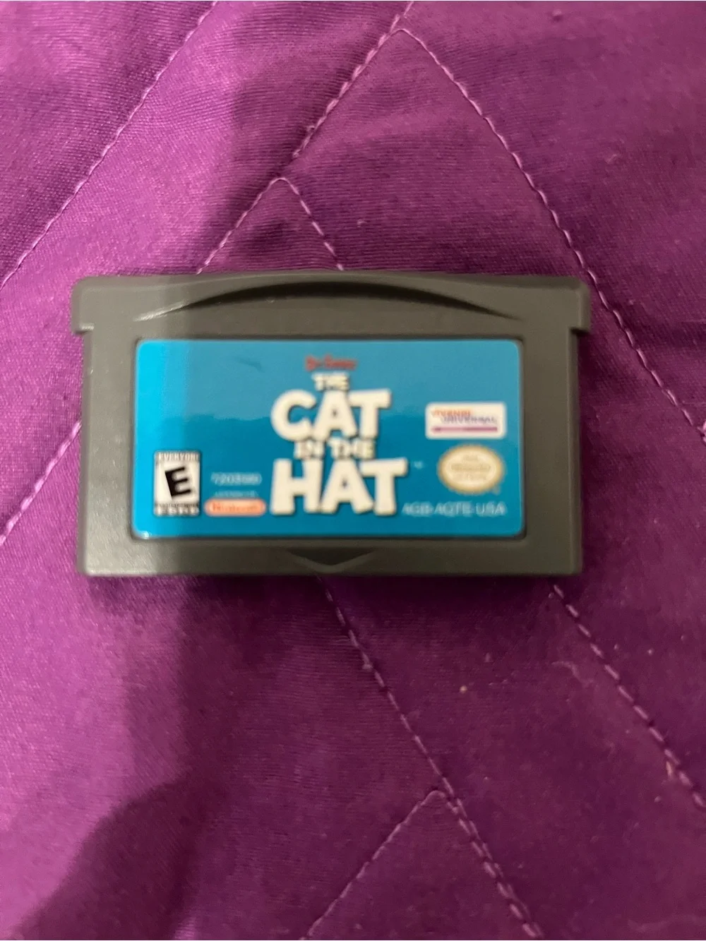 The Cat in the Hat Game Cartridge - Nintendo - Blue Label on Gray
